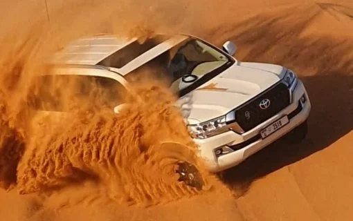 What to do in desert safari dubai?